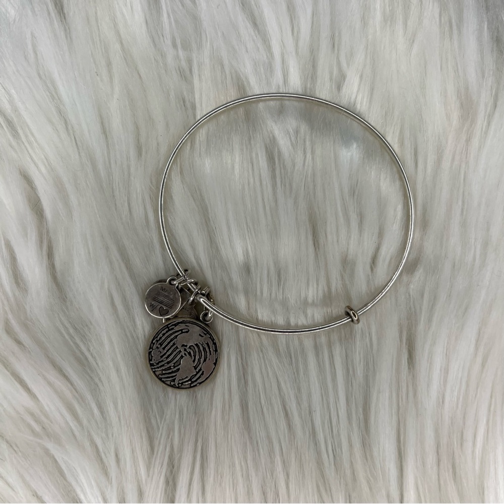 Alex and Ani Rafaelian Silver Fingerprint on the World Charm Bangle Bracelet